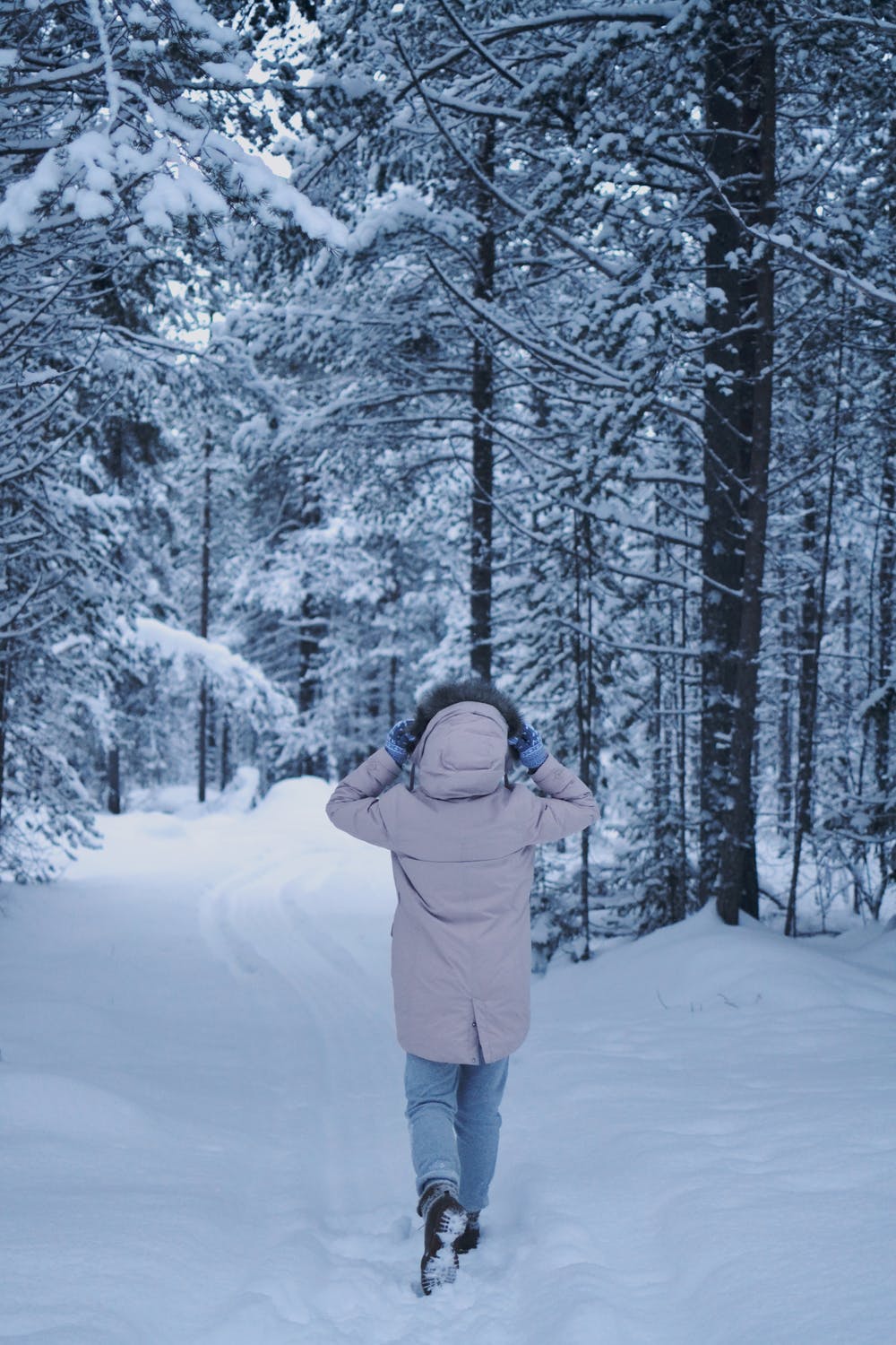 Winter Workouts at Home